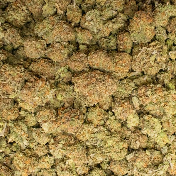 Cookie Wreck - Image 2