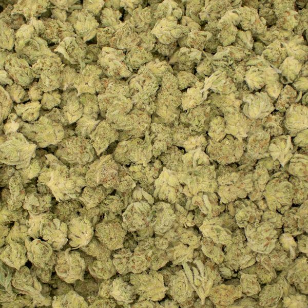 Chemdog OG (Smalls) - Image 2