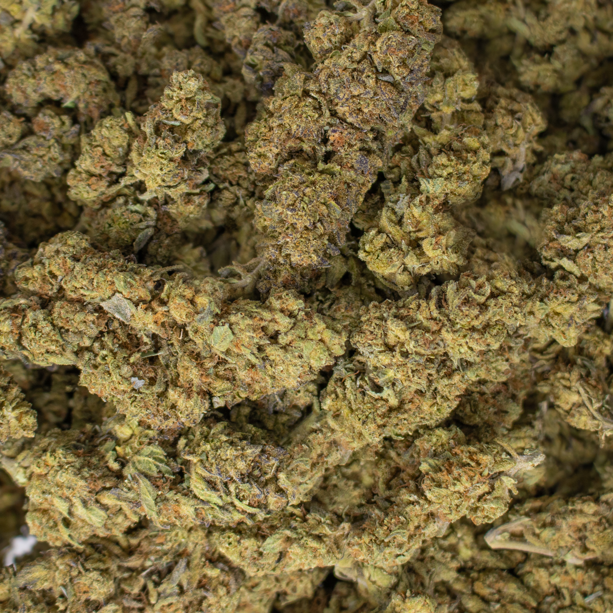 Platinum Bubba - Image 2